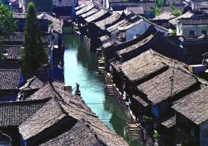 逃离仿真森林